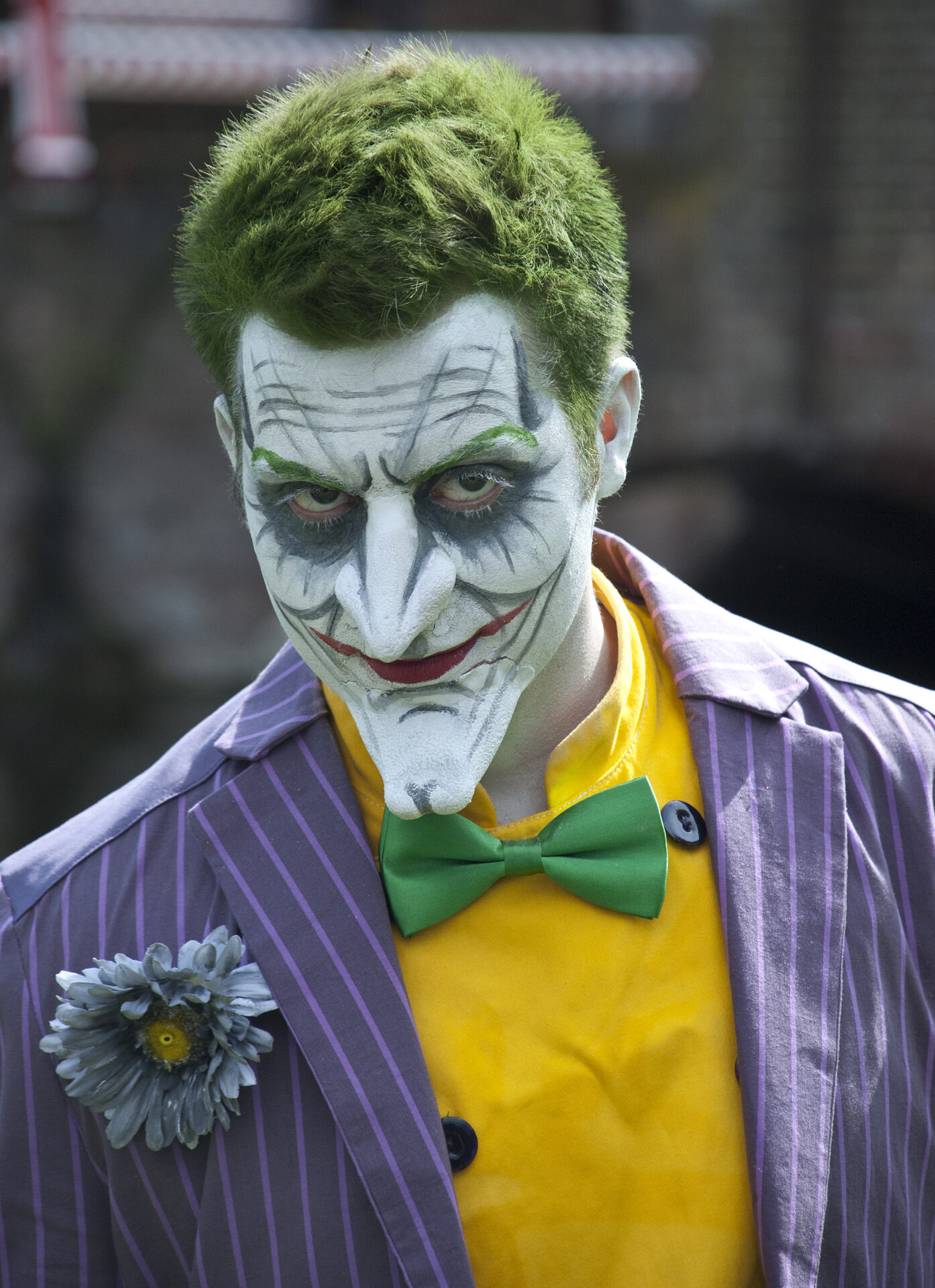Elf Fantasy Fair Haarzuilens Batman Joker elfia fair cosplay EFF 8