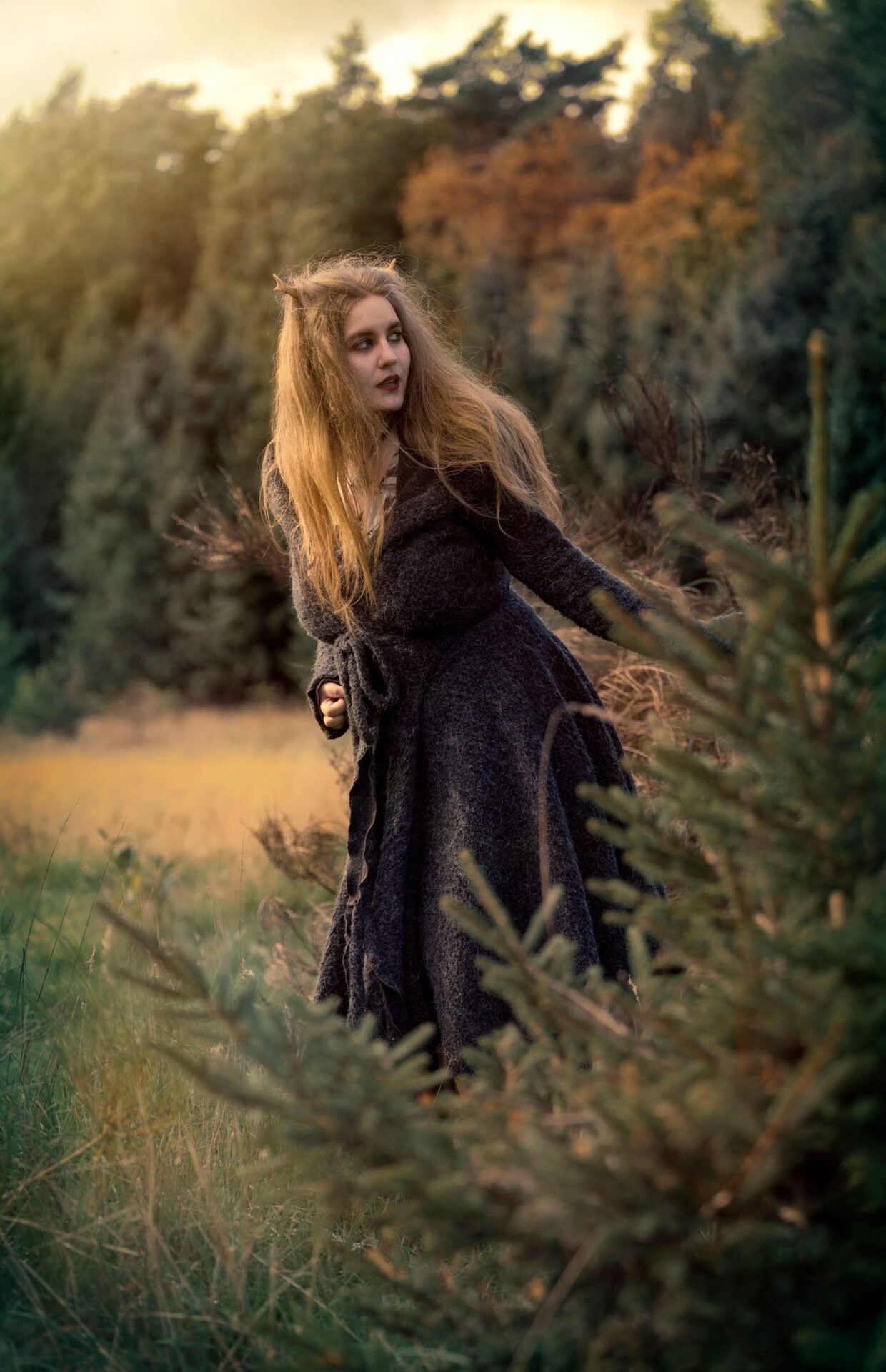 Elvya Dulcimer forest witch fantasy Musician Artist Liesbeth