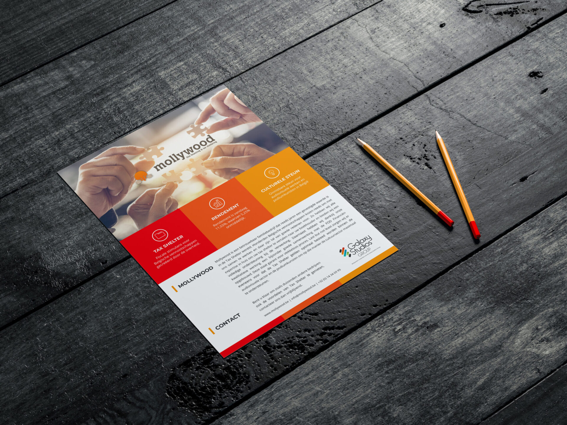Mollywood Tax Shelter Flyer Front Mockup scaled